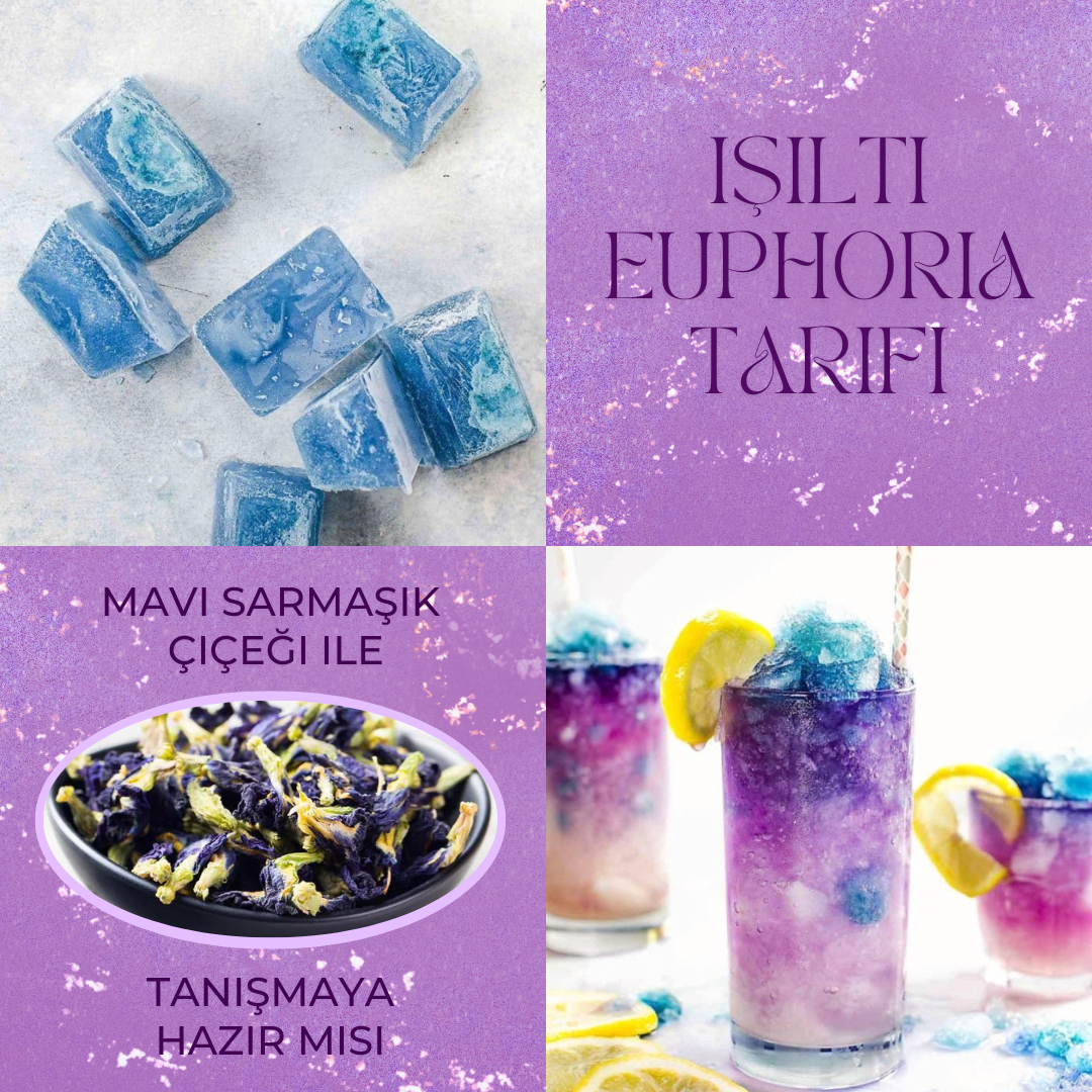 Mavi Sarmaşık Çiçeğini, Euphoria’nın Işıltısında Tanımaya Ne Dersin?