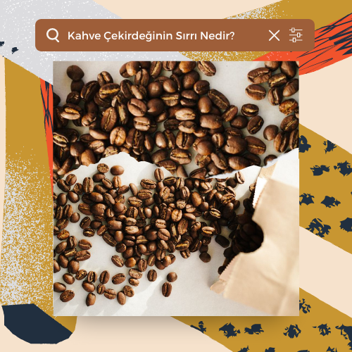 Kahve Çekirdeğinin Sırrı...