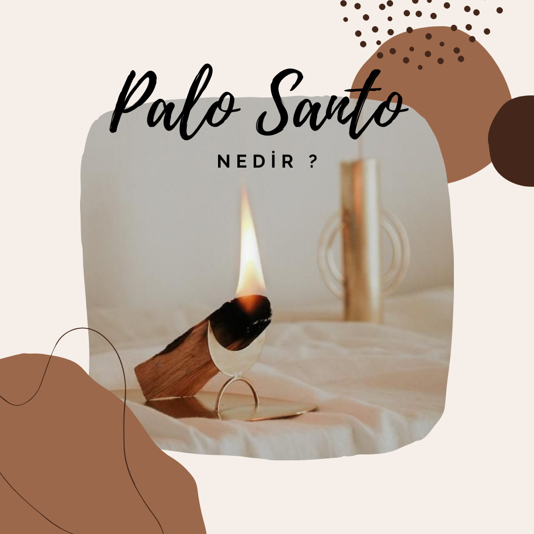 Palo Santo İle Evinizi Şifalandırın