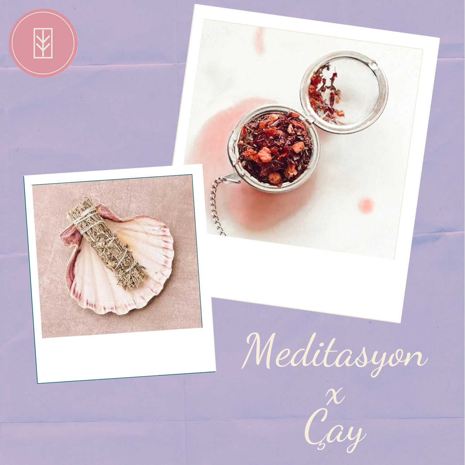 Meditasyon X Çay