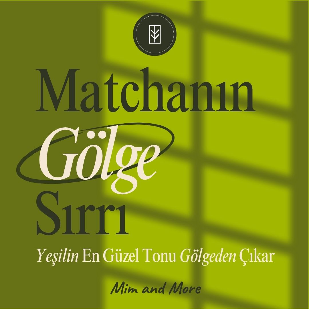 Güneşi Reddeden Lezzet: Matcha’nın Gölge Sırrı