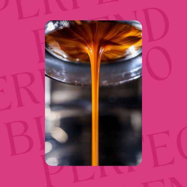Perfecto Blend Coffee – Perfecto Blend Çekirdek Kahve 250 g