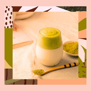 Coconut Matcha – Hindistan Cevizi Aromalı Ceremonial Grade Matcha Tozu 25 g