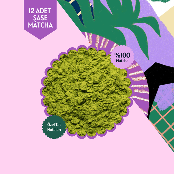 Berry Matcha Tekli Şase – 12 Günlük Özel Paket, 12x3 g