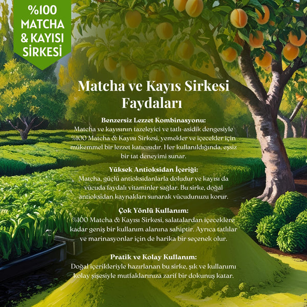 Matcha & Kayısı Sirkesi - Doğal Fermantasyon, %100 Doğal, Katkısız, 250 ml