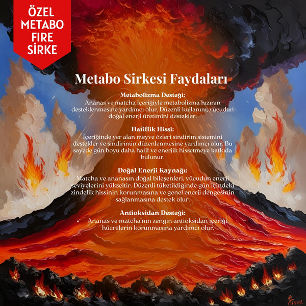 Metabo Fire Sirke – Ananas, Matcha ve Kayısı Özlü %100 Doğal Metabolizma Destekleyici Sirke, 250 ml