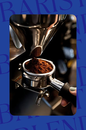 Barista Blend Coffee - Barista Blend Çekirdek Kahve, 250 gr