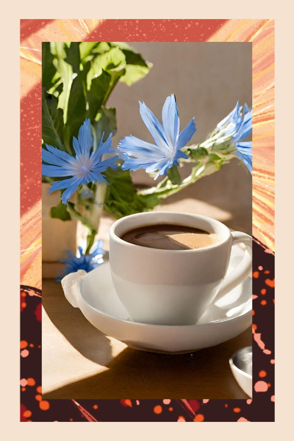 Chicory Turkish Coffee - Hindiba Türk Kahvesi, 150 gr