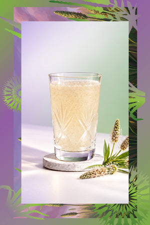 Doğal Karnıyarık Otu Tozu – %100 Saf Psyllium Powder 100 g