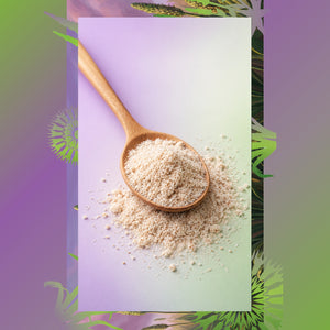 Doğal Karnıyarık Otu Tozu – %100 Saf Psyllium Powder 100 g