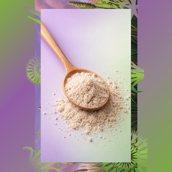 Doğal Karnıyarık Otu Tozu – %100 Saf Psyllium Powder 100 g