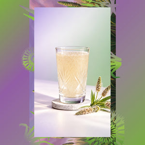 Doğal Karnıyarık Otu Tozu – %100 Saf Psyllium Powder 50 g