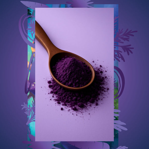 Doğal Mor Havuç Tozu – %100 Saf Black Carrot Powder 100 gr