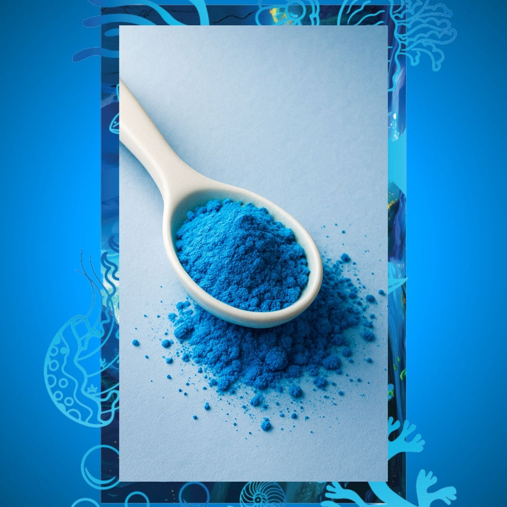 Doğal Blue Spirulina Powder – %100 Saf Mavi Spirulina Tozu 100 g