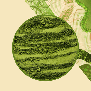 Matcha Salep Tin, 200 Gr