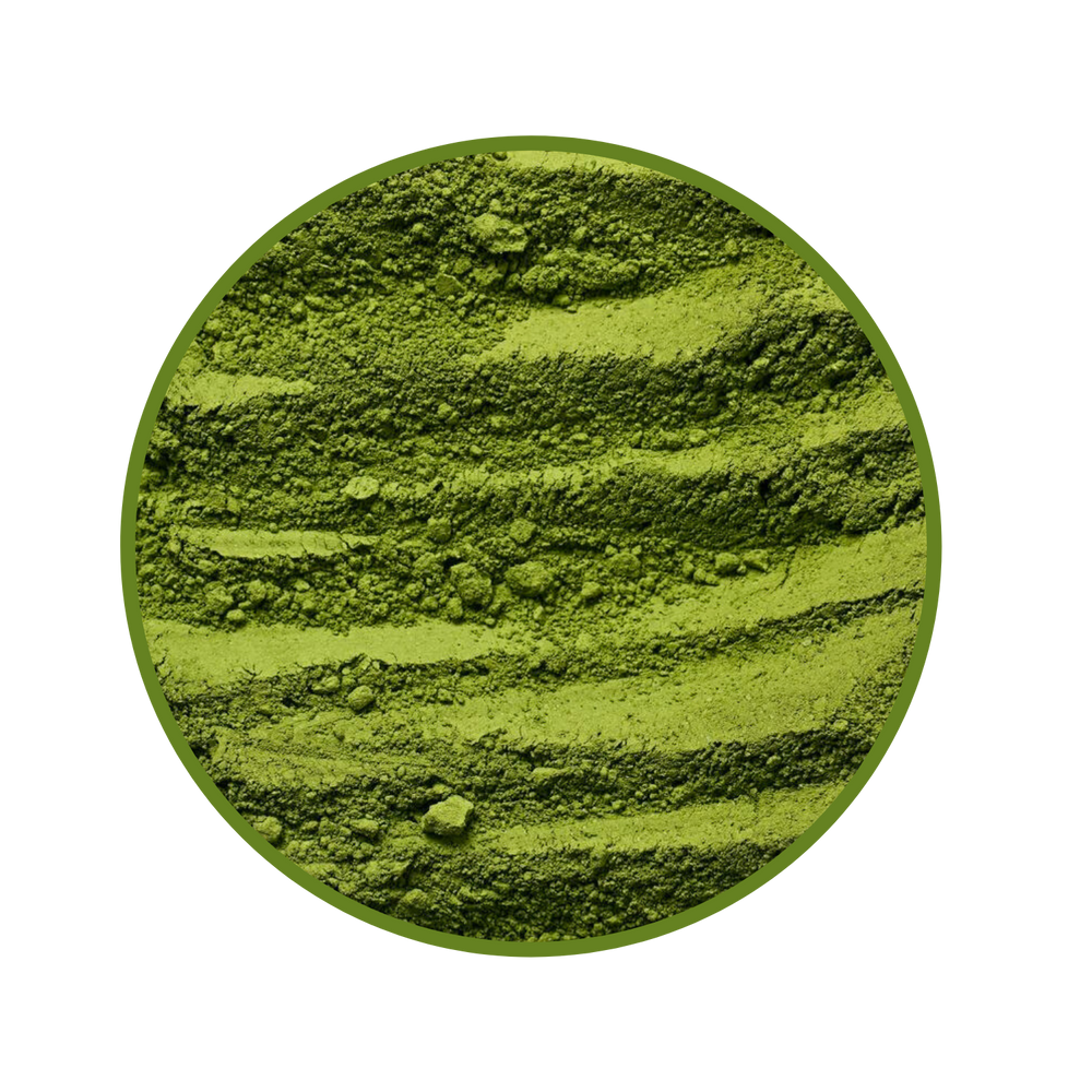 Matcha Salep – Matchalı Salep Doypack 200 g