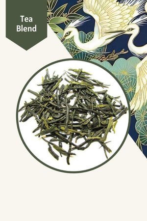 SENCHA