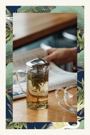 SENCHA